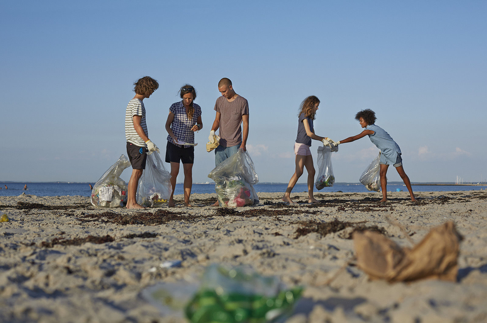Collect trash